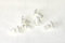 Plastic Rivets for Toshiba Stirrer Cover (Pack of 6) - FAR.1261719