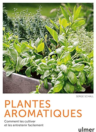 Plantes aromatiques - Comment les cultiver et les entretenir facilement