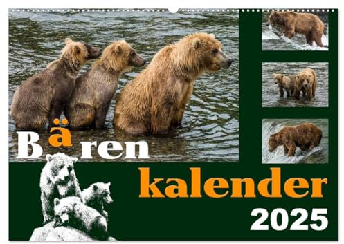 Bärenkalender (Wandkalender 2025 DIN A2 quer), CALVENDO Monatskalender