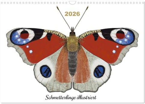 Schmetterlinge illustriert (Wandkalender 2026 DIN A3 quer), CALVENDO Monatskalender: Illustrationen heimischer Schmetterlinge (CALVENDO Tiere)