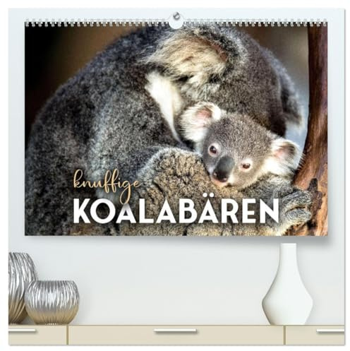 Knuffige Koalabären (hochwertiger Premium Wandkalender 2026 DIN A2 quer), Kunstdruck in Hochglanz: Schläfrige Bären. (CALVENDO Tiere)
