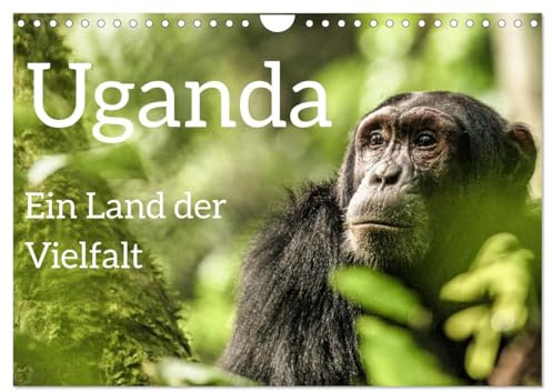 Uganda - ein Land der Vielfalt (Wandkalender 2026 DIN A4 quer), CALVENDO Monatskalender