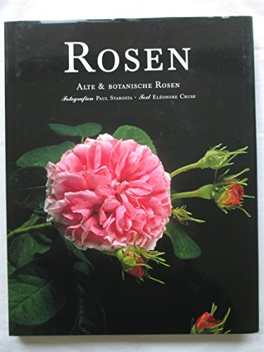 Rosen. Alte & Botanische Rosen (Evergreen)