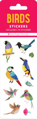 Birds Sticker Set (6 Different Sheets of Stickers!), 2 1/2 x 7 1/8