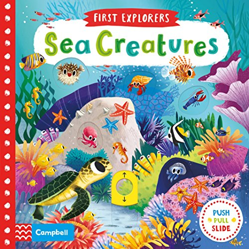 Sea Creatures (Campbell First Explorers, 2)
