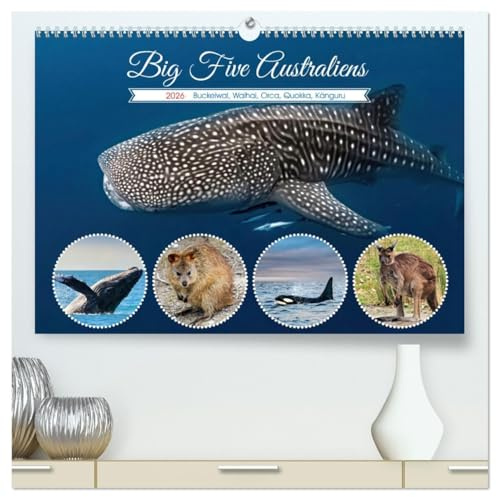 Big Five Australiens Buckelwal, Walhai, Orca, Quokka,Känguru (hochwertiger Premium Wandkalender 2026 DIN A2 quer), Kunstdruck in Hochglanz: Die Big ... des Landes wider und sind of (CALVENDO Tiere)