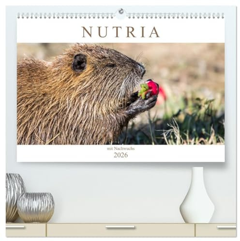 NUTRIA mit Nachwuchs (hochwertiger Premium Wandkalender 2026 DIN A2 quer), Kunstdruck in Hochglanz: Nutria hautnah (CALVENDO Tiere)