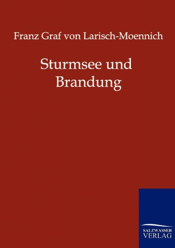 Sturmsee und Brandung