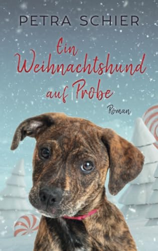 Ein Weihnachtshund auf Probe: Zwei Weihnachtsgeschichten für die ganze Familie | Sammelband | Band 1 + Bonusgeschichte (Santa Claus-Reihe, Band 1)