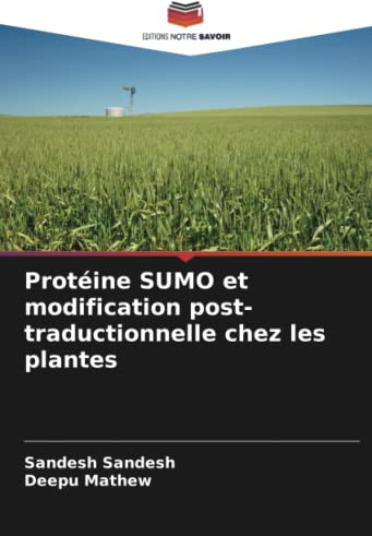 Protéine SUMO et modification post-traductionnelle chez les plantes