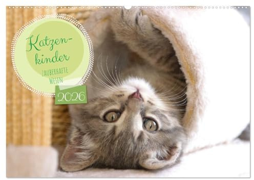 Katzenkinder - zauberhafte Wesen (Wandkalender 2026 DIN A2 quer), CALVENDO Monatskalender: Sie schnurren sich in unsere Herzen, verzaubern uns und ... kleine Katzenkinder. (CALVENDO Tiere)