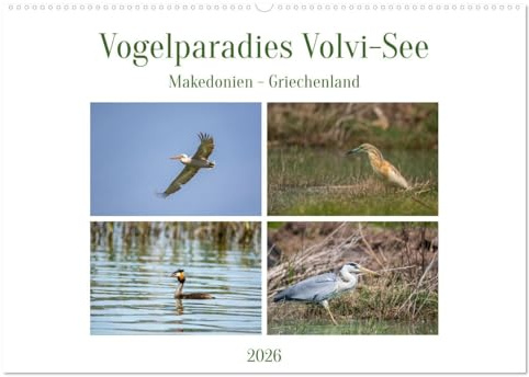 Vogelparadies Volvi-See (Wandkalender 2026 DIN A2 quer), CALVENDO Monatskalender: Der Volvi-See in Makedonien, Griechenland (CALVENDO Tiere)