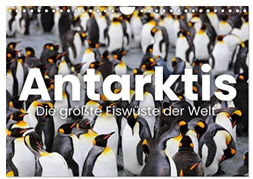 Antarktis - Die größte Eiswüste der Welt. (Wandkalender 2026 DIN A4 quer), CALVENDO Monatskalender: Vereiste Seen und Pinguine. (CALVENDO Natur)