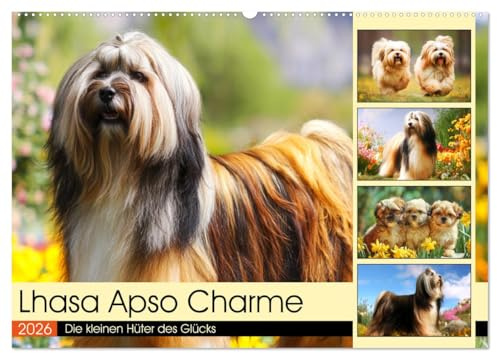 Lhasa Apso Charme. Die kleinen Hüter des Glücks (Wandkalender 2026 DIN A2 quer), CALVENDO Monatskalender: Die Schönheit und das stolze Wesen des Lhasa Apso in malerischen Szenen (CALVENDO Tiere)