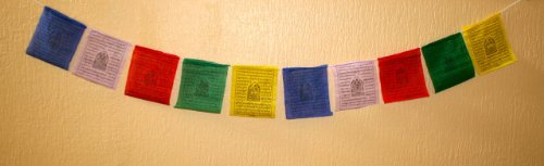 tsongkang Tibetische Gebetsfahnen für Frieden, Reichtum, Mitgefühl, Reinigung und Weisheit (M) - Grün, Blau, Gelb, Weiß, Rot - 16 cm x 18 cm