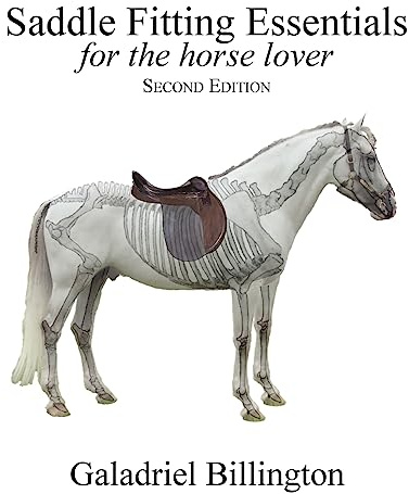 Saddle Fitting Essentials