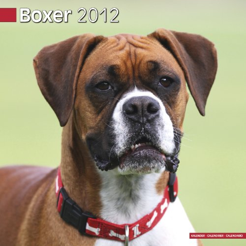 Kalender 2012 Boxer (Euro) - Deutschen Boxers