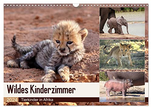 Wildes Kinderzimmer - Tierkinder in Afrika (Wandkalender 2024 DIN A3 quer), CALVENDO Monatskalender: Tierkinder in ihrer natürlichen Umgebung (CALVENDO Tiere)