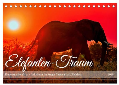Elefanten-Traum - Herzenssache Afrika (Tischkalender 2026 DIN A5 quer), CALVENDO Monatskalender: Dickhäuter im Kruger Nationalpark Südafrika (CALVENDO Tiere)