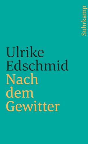 Nach dem Gewitter (suhrkamp taschenbuch)