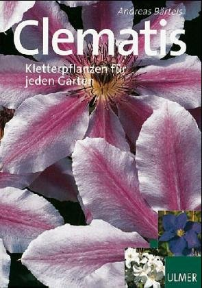 Schöne Clematis: Kletterpflanzen für jeden Garten