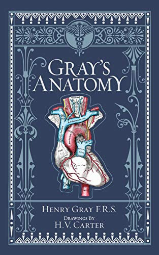 Gray's Anatomy (Barnes & Noble Collectible Classics: Omnibus Edition): Barnes & Noble Leatherbound Classic Collection (Barnes & Noble Collectible Editions)