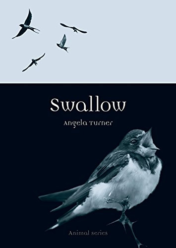 Swallow (Reaktion Books - Animal)