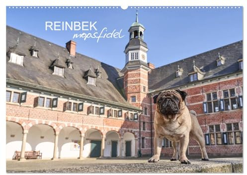 Reinbek mopsfidel (Wandkalender 2026 DIN A2 quer), CALVENDO Monatskalender: Reinbek im Sachsenwald, mit dem Mops erleben und lieben (CALVENDO Orte)