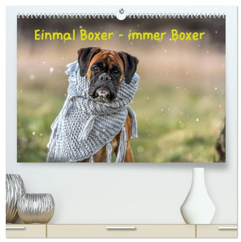 Einmal Boxer - immer Boxer (hochwertiger Premium Wandkalender 2026 DIN A2 quer), Kunstdruck in Hochglanz: Boxer, die tollsten Hunde der Welt. (CALVENDO Tiere)