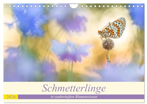 Schmetterlinge in zauberhaften Blumenwiesen (Wandkalender 2026 DIN A4 quer), CALVENDO Monatskalender: Im blühenden Reich der Schmetterlinge. (CALVENDO Tiere)