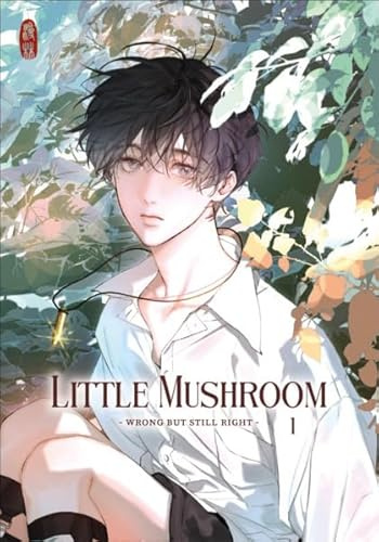 Little Mushroom - wrong but still right 1