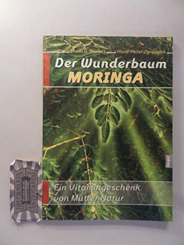 Der Wunderbaum Moringa: Ein Vitamingeschenk von Mutter Natur