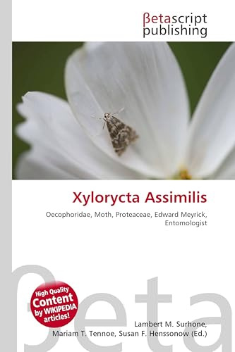 Xylorycta Assimilis: Oecophoridae, Moth, Proteaceae, Edward Meyrick, Entomologist
