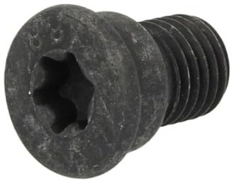 Delphi BGK007 Brake Disc Retaining Screw (X10)
