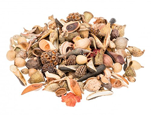 NaDeco Bastelmischung, Packung mit ca. 100g Australische Dekofrüchte Australische Dekoration Australische Dekofrüchte getrocknete Früchte und Zapfen Fülldeko Streudeko Trockendeko Naturdeko