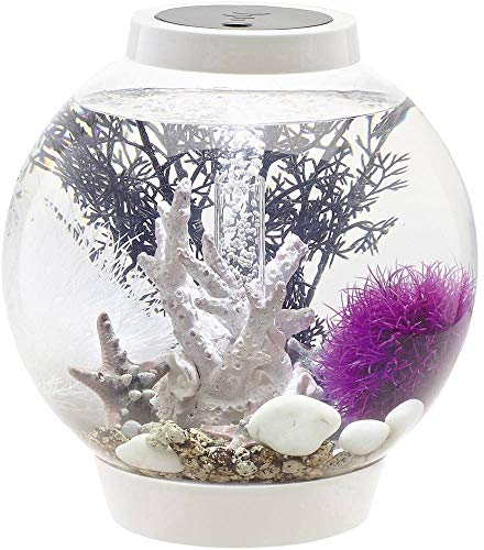 biOrb CLASSIC 15 LED Kugel-Aquarium, 15 Liter - Aquarien Komplett-Set mit LED Beleuchtung und patentiertem Filter-System, Acryl-Becken