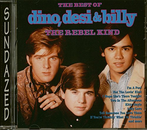 Sundazed (Bear Family Records)