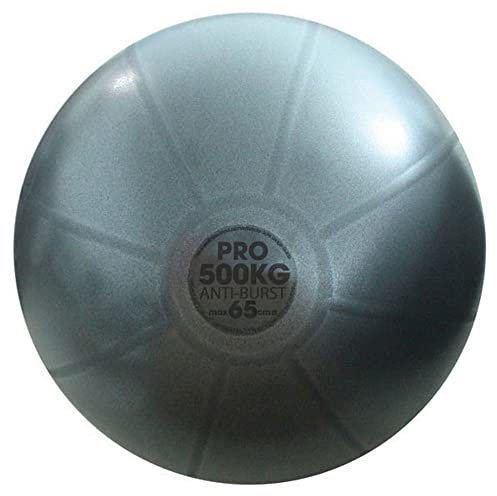 Fitness-Mad 300Kg Anti-Burst Swiss Ball 65cm Blue