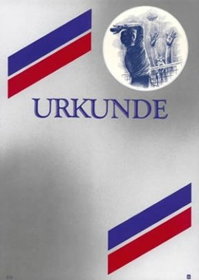 Albert Hoffmann Urkundenverlag Volleyball / 310/1077 / Herren/PC-Urkunden (170 g/m²) 10 Stk