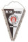 FC St. Pauli - Logo Liga - Wimpel 25 x 38cm