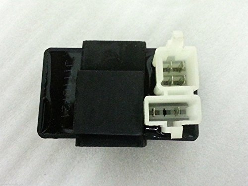 CDI Unit For Bashan BS200S-3, BS200S-7 and BS250S-11B Quad Bikes