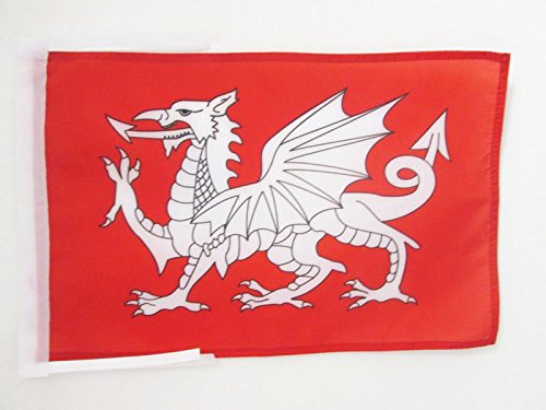 AZ FLAG - Drapeau Dragon Blanc D'Angleterre - 45x30 cm - Pavillon Anglais - Saint Georges 100% Polyester Avec Deux Cordelettes - 20g