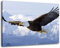 Adler fliegt über Schneebedeckte Berge, Leinwand Bild, Format:80x60 cm, Bild auf Leinwand bespannt, riesige XXL Bilder komplett und fertig gerahmt mit Keilrahmen, Kunstdruck auf Wand Bild mit Rahmen, günstiger als Gemälde oder Bild, kein Poster oder Plakat