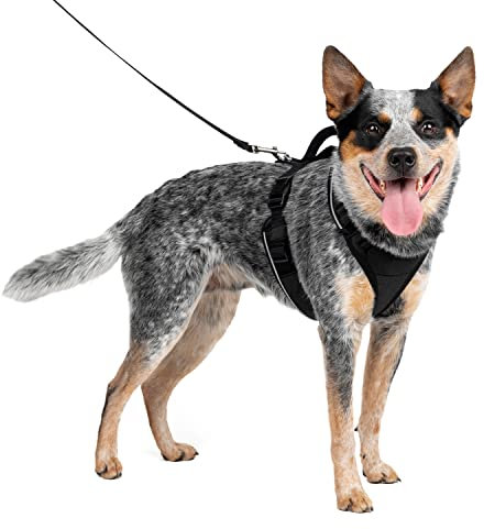 PetSafe EasySport Geschirr, Elastischer Halsausschnitt, Gepolsterter Griff, Für Hunde von 11,3 kg bis 22,5 kg, Größe M, Schwarz