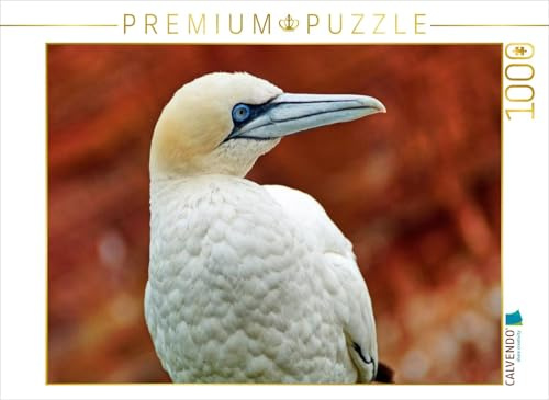 CALVENDO Puzzle Basstölpel | 1000 Teile Lege-Größe 64 x 48 cm Foto-Puzzle für glückliche Stunden