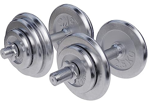 GORILLA SPORTS® Kurzhantelset 30kg, 2er Set, 30mm, Chrom, 10 Hantelscheiben | 4 x 1,25 kg, 4 x 2,5 kg und 2 x 5 kg Hantelscheiben, 4 Sternverschlüsse, Griff gerändelt und rutschfest; Kurzhanteln