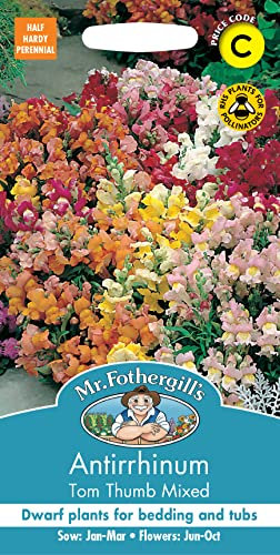 Mr Fothergill's ANTIRRHINUM Tom Thumb Mixed