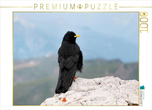 CALVENDO Puzzle Alpendohle in den Dolomiten | 1000 Teile Lege-Größe 64 x 48 cm Foto-Puzzle für glückliche Stunden