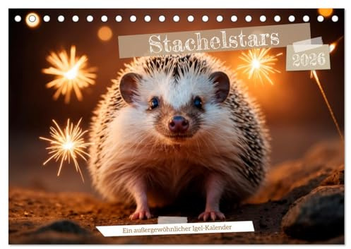 Stachelstars (Tischkalender 2026 DIN A5 quer), CALVENDO Monatskalender: Igelmotive: Ein stacheliger Begleiter durch die Jahreszeiten. (CALVENDO Tiere)