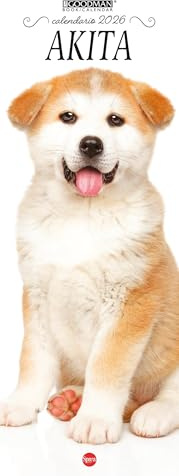Akita Inu. Calendario 2026. Long (Lisa Goodman Long)